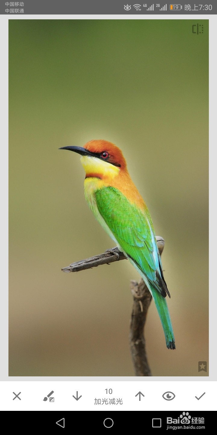 如何利用snapseed为照片添加曝光和色温