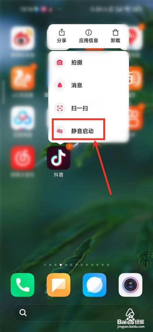 抖音如何设置外放默认静音功能