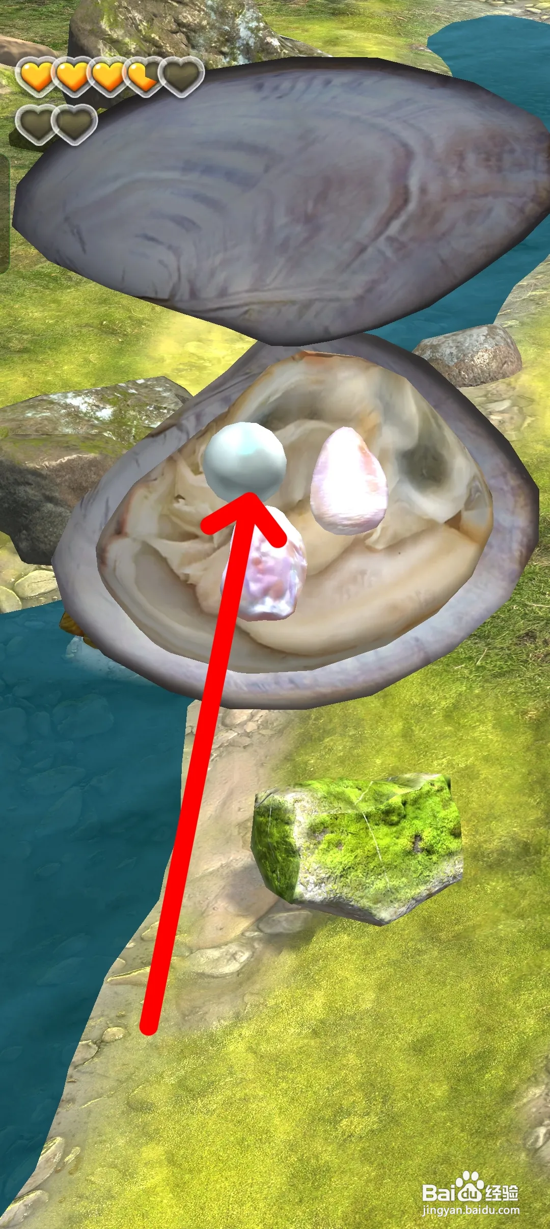 夺笋高手如何获得白珍珠