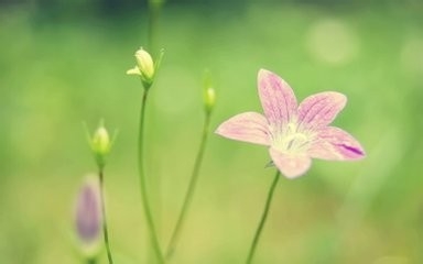 哺乳期饮食注意的几个要点
