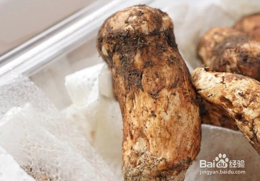 新鲜松茸排骨汤的做法