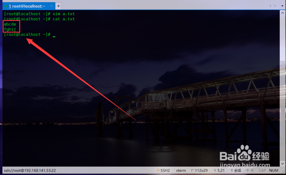Vim编辑器基本操作详解