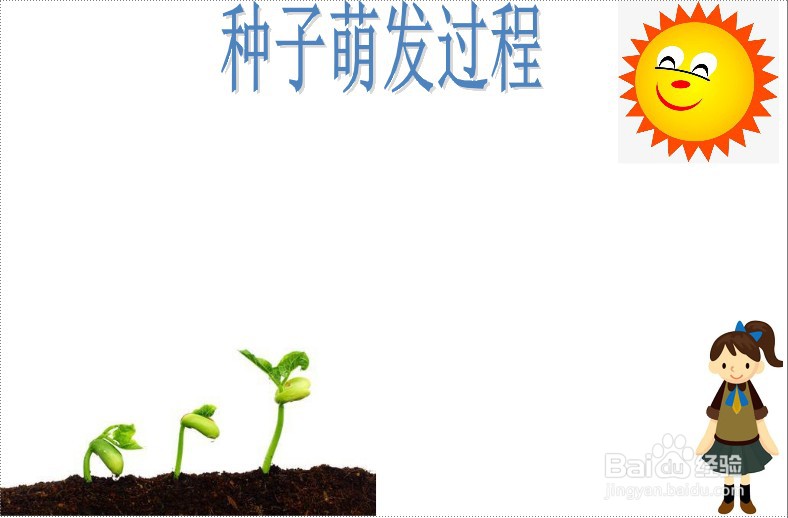 种子萌发过程的手抄报