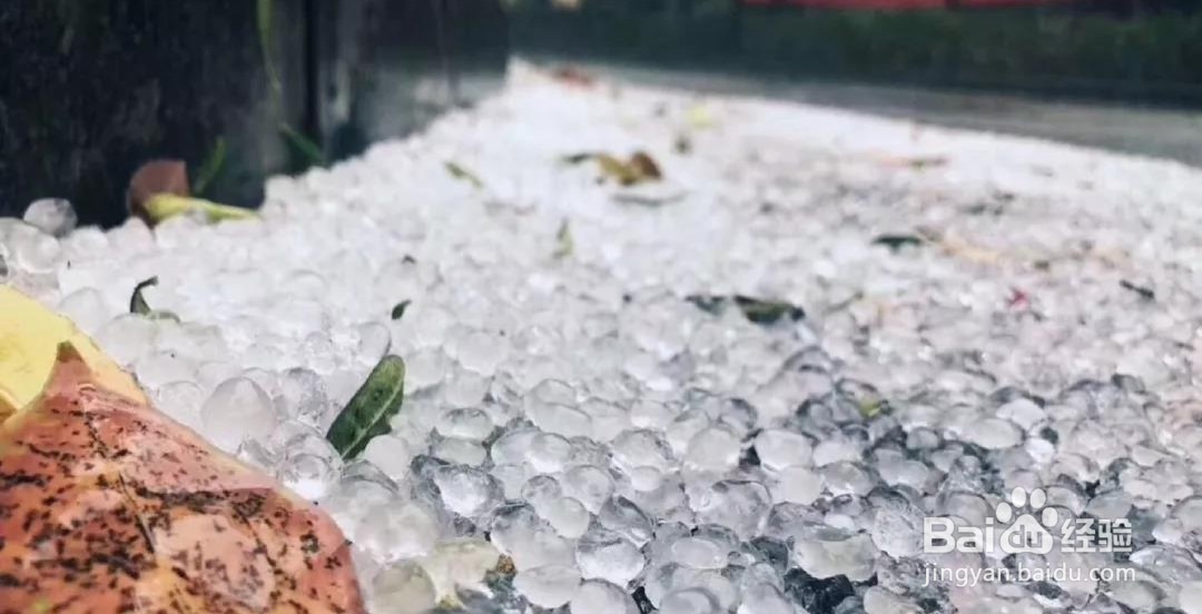冰雹的声音怎么形容