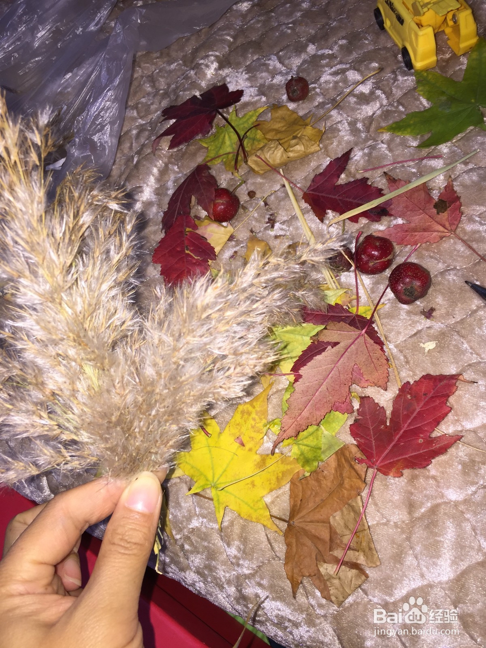 树叶手工——芦苇花束