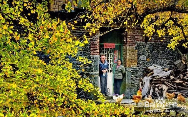 国庆低成本出游指南,避开人山人海爽快玩耍