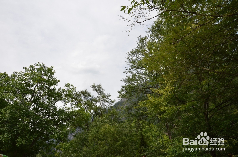 14年11月亚龙湾最新出行、餐饮贴士