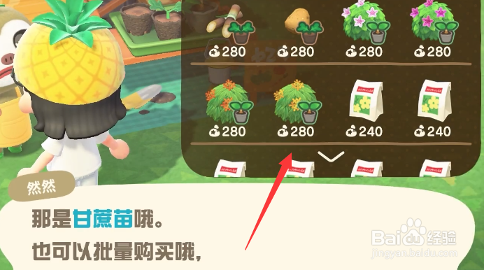 动物森友会2.0然然的位置在哪