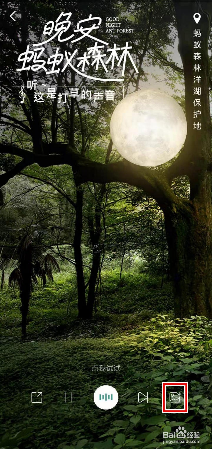 支付宝森林电台怎么保存背景图片