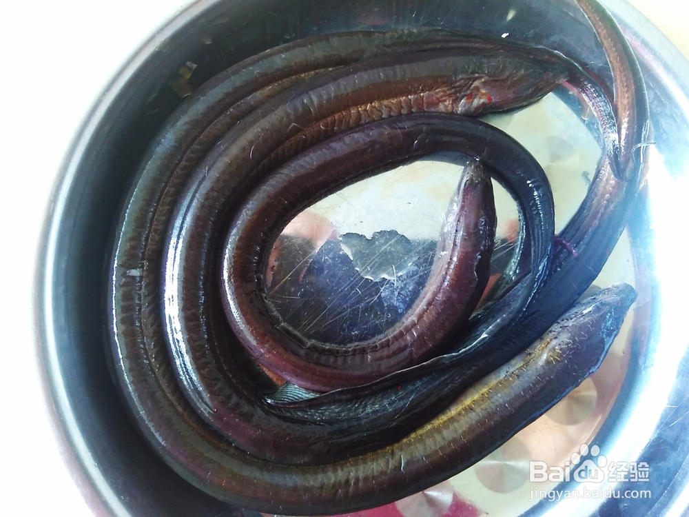 浓香好吃的甜椒爆黄鳝的做法