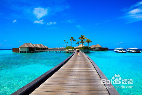 马尔代夫宁静岛W岛旅游住宿全攻略