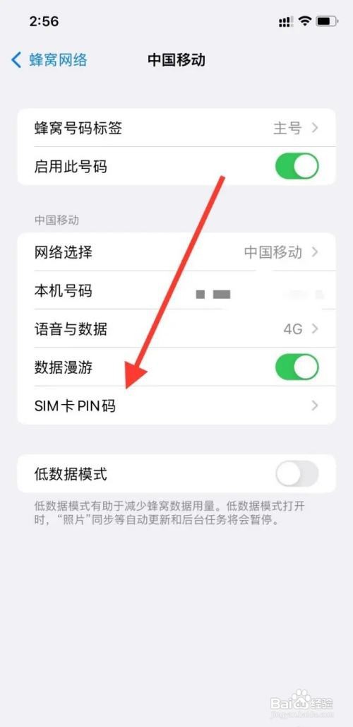 苹果如何输入PIN码