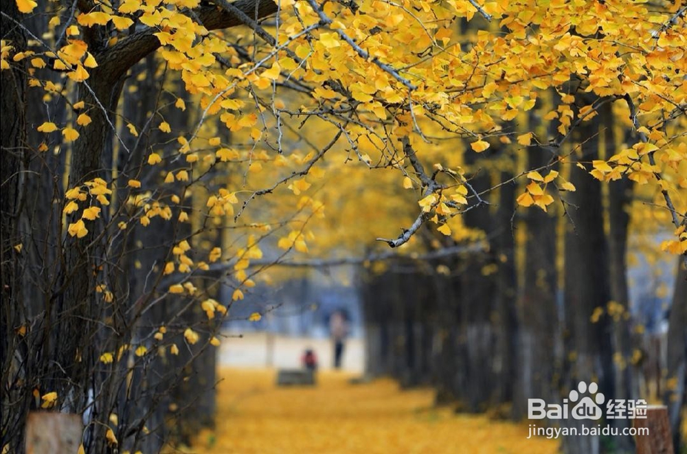 女人为什么总喜欢吵架?