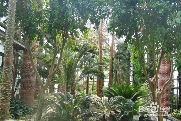 韩国光州牛峙公园旅游攻略