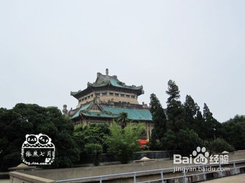 游.武汉——国立武汉大学