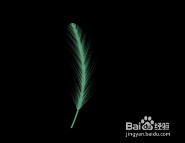 用Photoshop制作羽毛