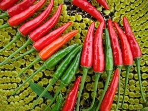 贵州特色菜三椒肉末