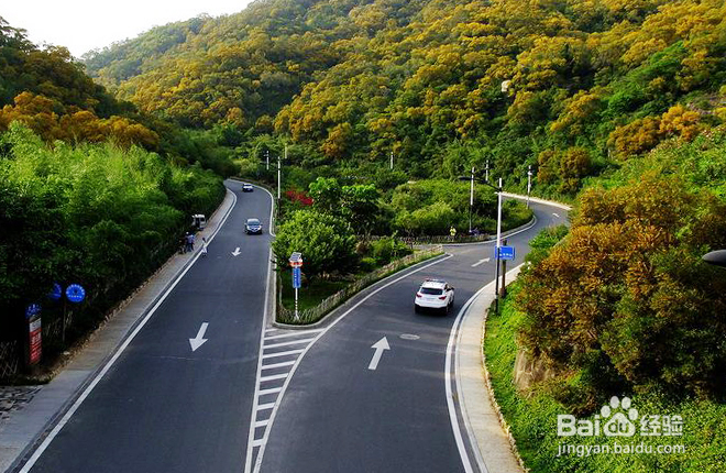 厦门岛自助游攻略篇