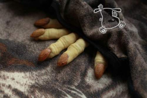 巫婆手指头饼干