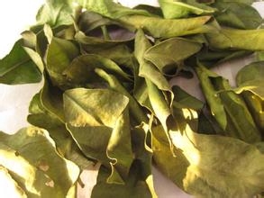 乳腺增生食疗制作方法