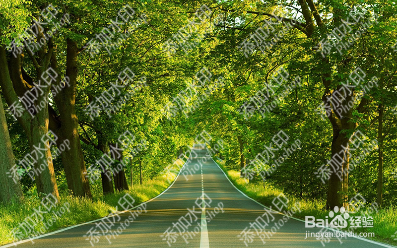 如何用photoshop给图片加水印?