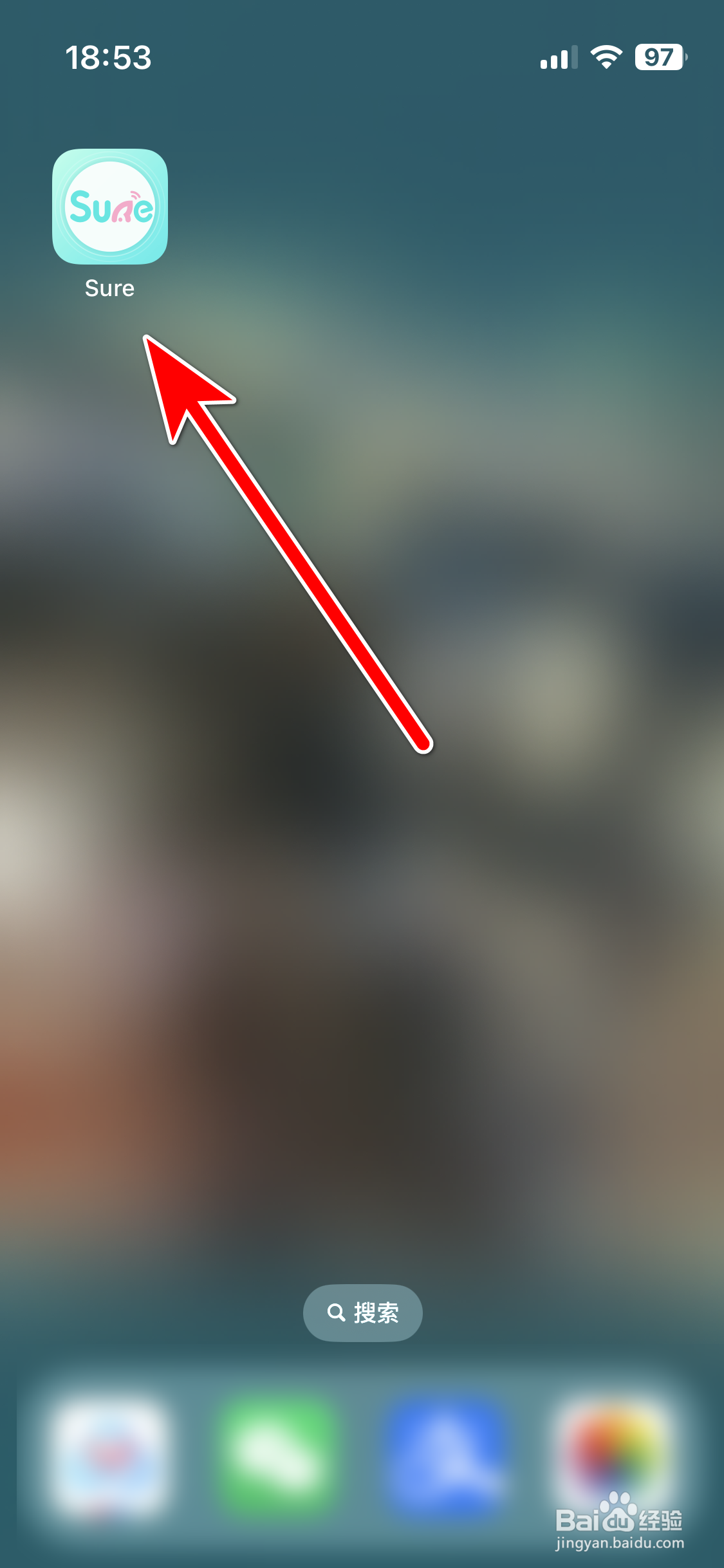 Sure如何查看我的等级