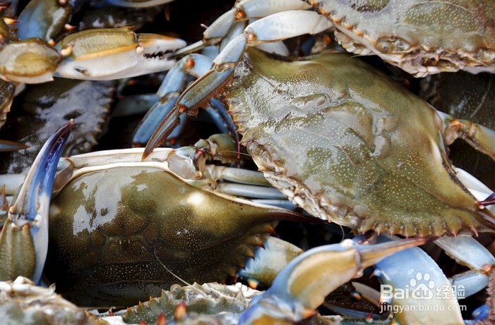 别看它们品相不好,但吃起来真的很美味!