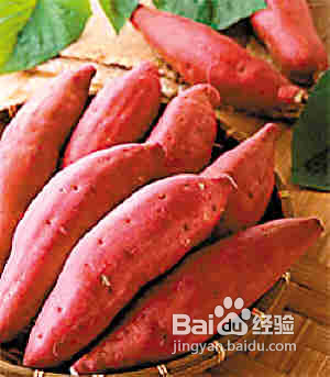 夏季免疫力差如何提高,食补提高免疫力