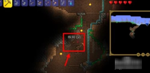 泰拉瑞亚可以找到床吗