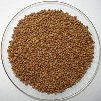 治疗口腔溃疡的特效偏方