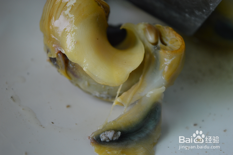 怎么做香辣海螺？