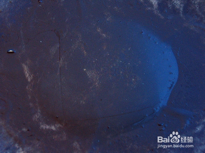 梅豆辣椒炒肉片