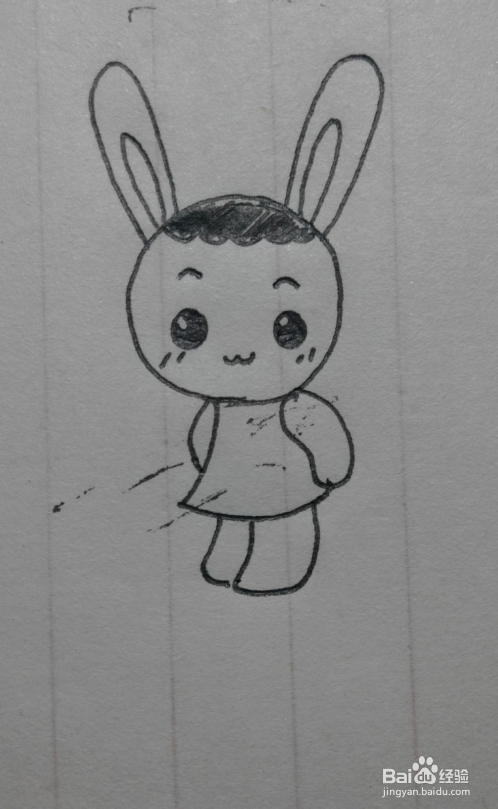 可爱的小兔子（幼儿）