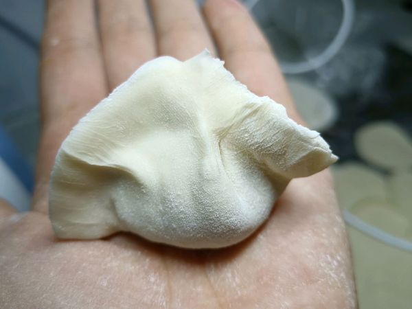 水萝卜肉馅水饺