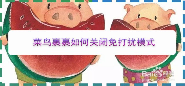 菜鸟裹裹如何关闭免打扰模式