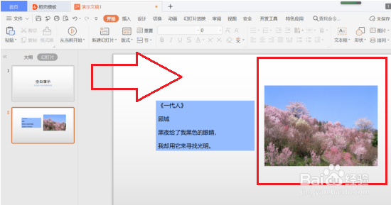 怎么使用PPT中的屏幕取色器