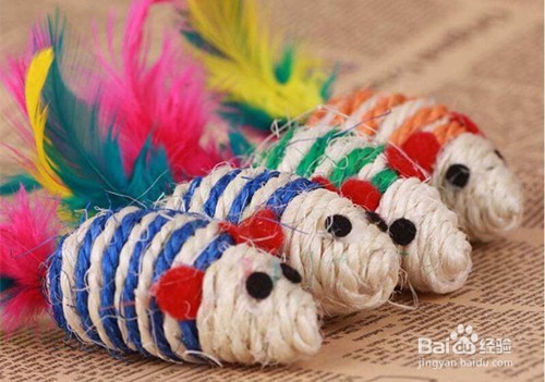 猫猫得什么病不吃饭,猫咪得病才不吃东西吗