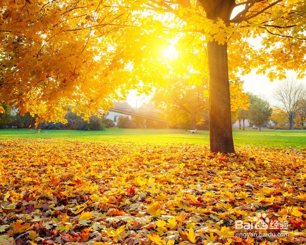 如何丰富自己的大学生活呢？