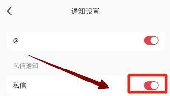小红书怎么开启私信通知功能