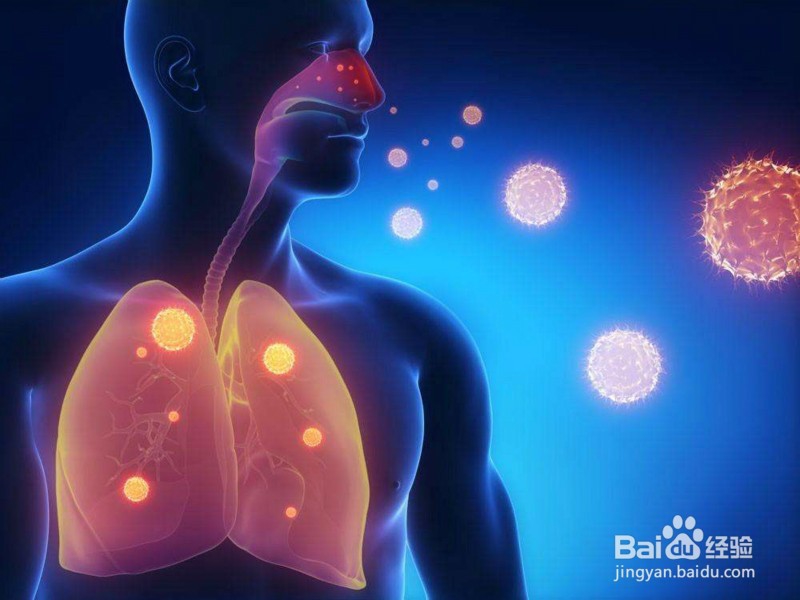 2017最新中年男人养肺润肺妙招