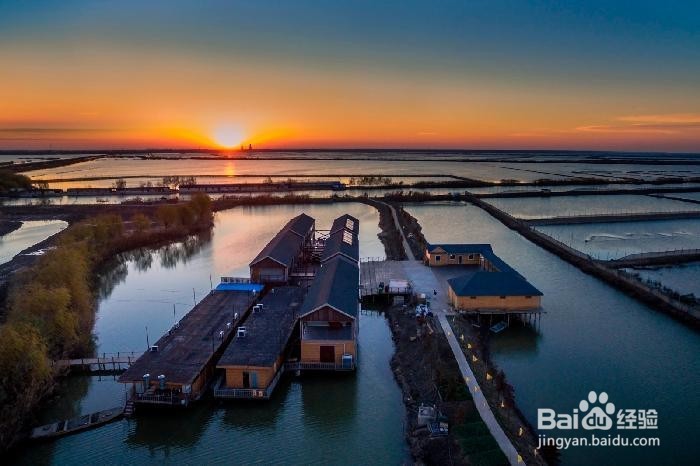 高邮周末踏青一日游推荐