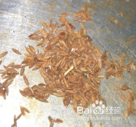 孜然香酥小黄豆