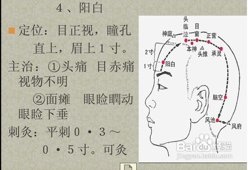 中医经络知识之足少阳胆经图解