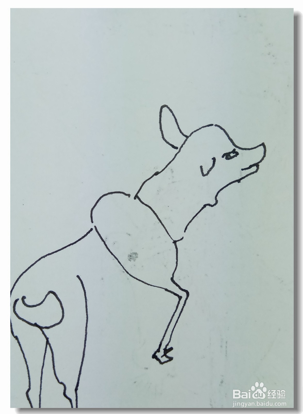 怎样画钢笔画“寻鹿”？