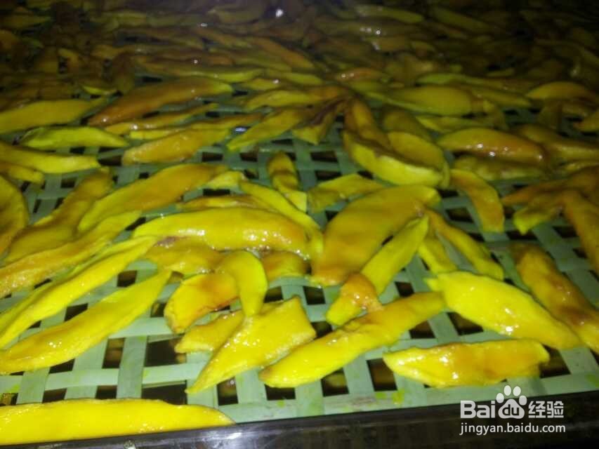 芒果烘干机芒果片烘干机使用技巧