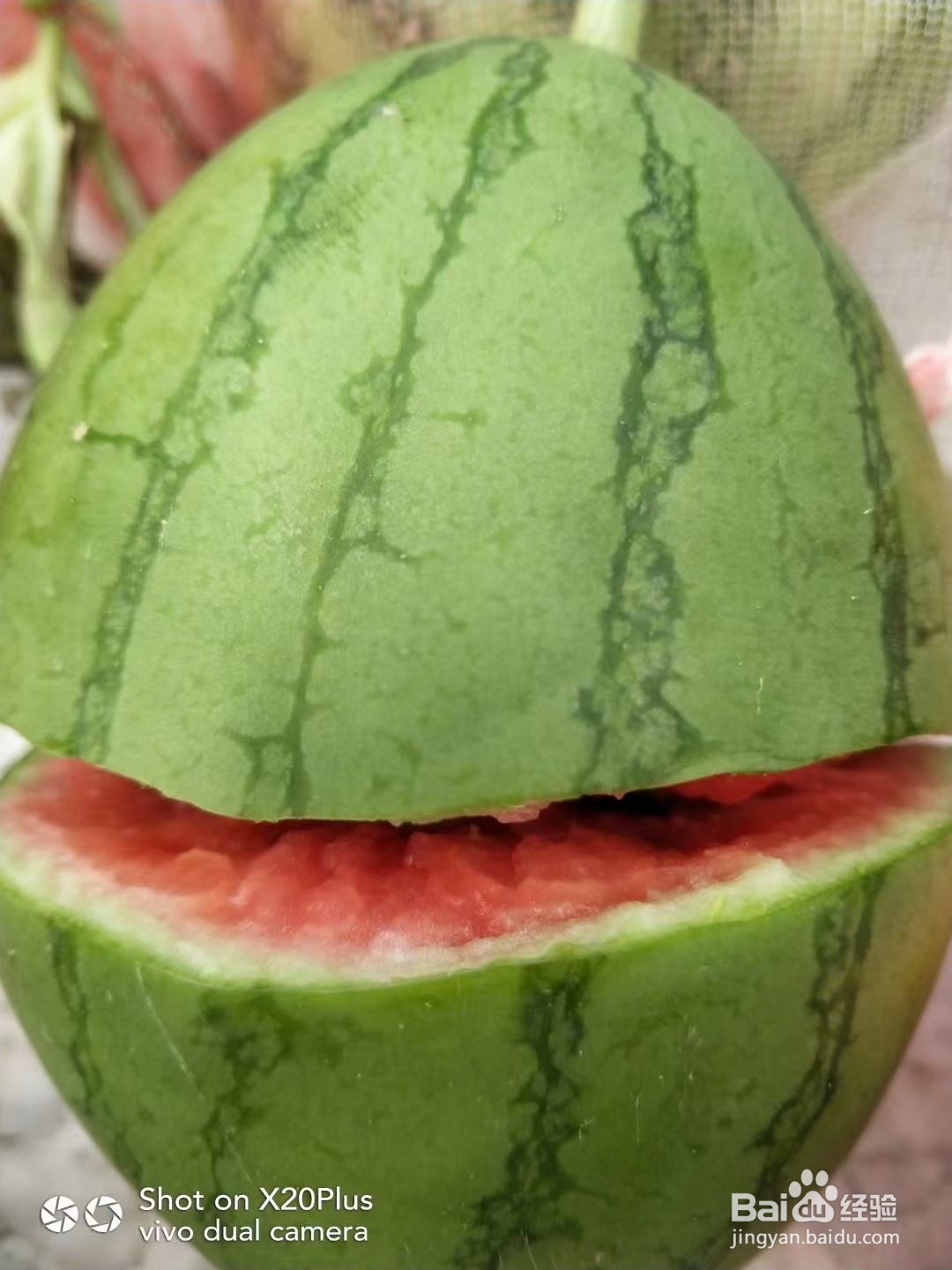 什么是2K西瓜