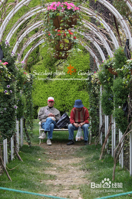 上海植物园（上）