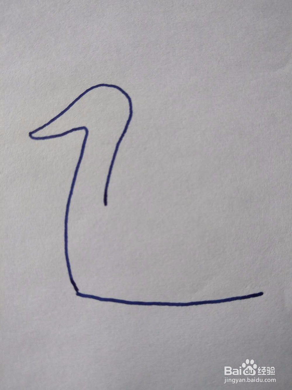 简笔画之浮水鹅