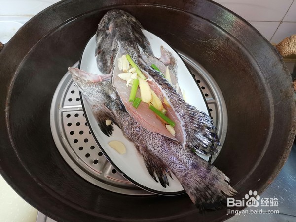 清蒸石斑鱼的做法