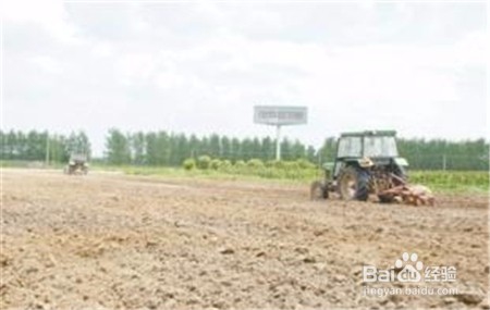 三七的功效,不清楚的点击查看